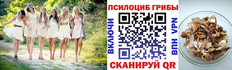 Псилоцибиновые грибы Cubensis  Железноводск 