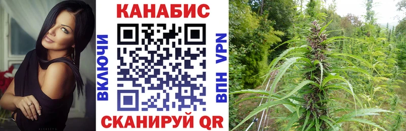 Конопля планчик  блэк спрут зеркало  это формула  Железноводск 